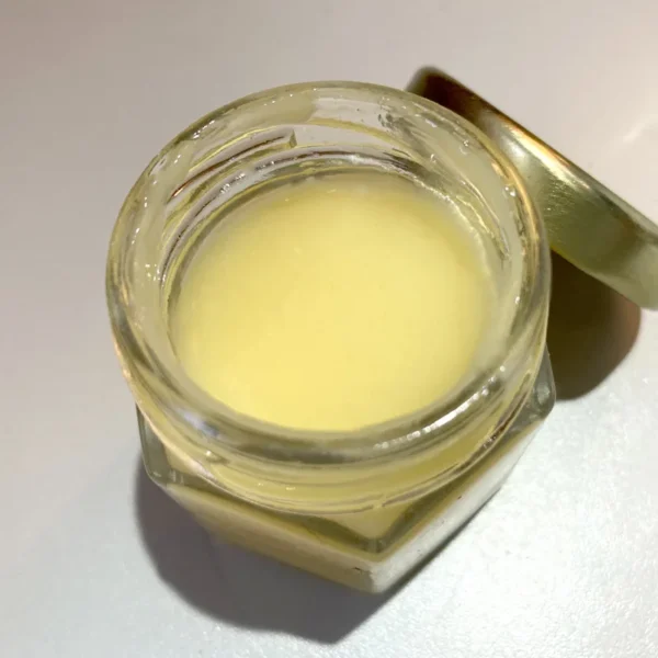 Royal Jelly 40g glazen hexa pot - Beeffet